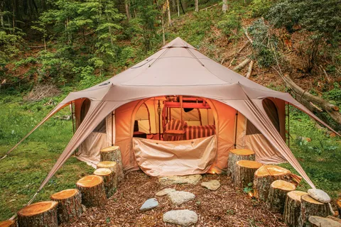 The glamping yurt seen wide, among the trees