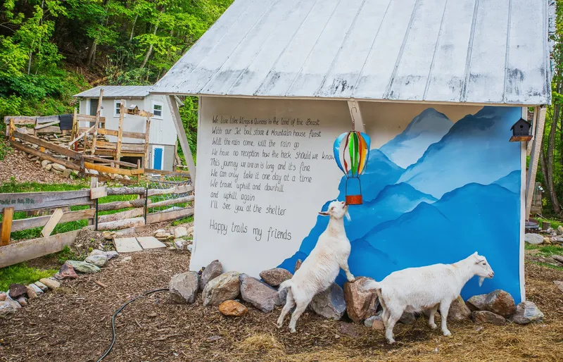 Jeff's hand-painted 'Ode to the AT' mural on the goat shed — blue mountains, a hot air balloon, and a curious goat reaching for it