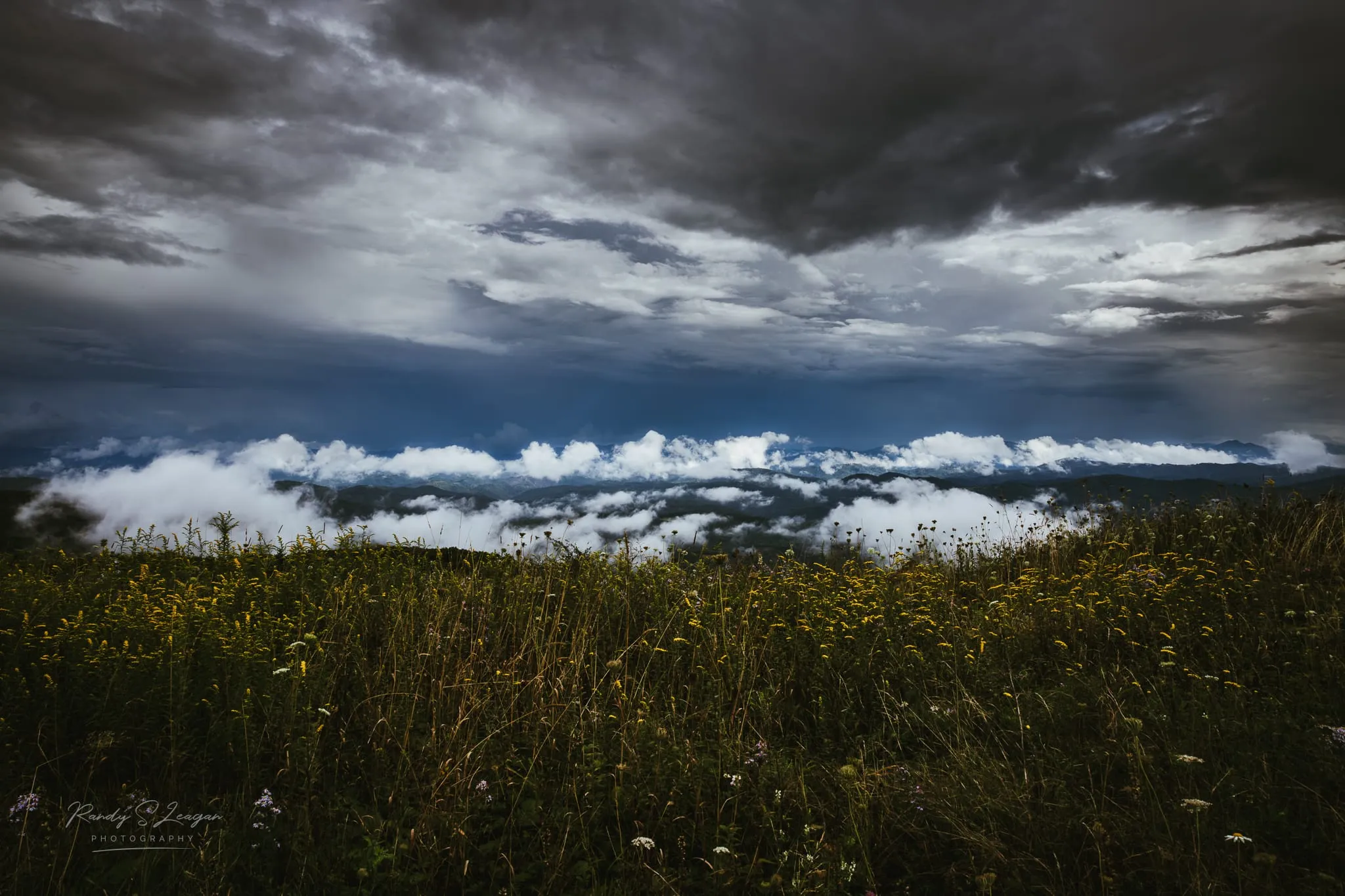 Open highland meadow above Massie Gap, with the balds running out toward the ridgeline